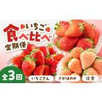 いちご 2027年1月~発送 3回定期便