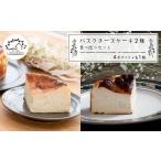 ケーキ カステラ チーズケーキ バスクチーズケーキ2種の食…