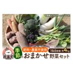 fu.... налог комплект *... Gunma префектура . приятный блок природа культивирование осень-зима сезон. оставив решение кому-то другому овощи комплект M размер 