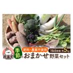 fu.... налог комплект *... Gunma префектура . приятный блок природа культивирование осень-зима сезон. оставив решение кому-то другому овощи комплект L размер 