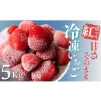 ふるさと納税 いちご 静岡県 南伊豆町 冷凍いちご 紅ほっぺ こだわり いちご フローズン 冷凍 イチゴ strawberry 苺 新鮮 朝摘み 朝採り 産直 産地直送 安心安…