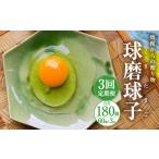 球磨球子 60個入