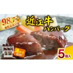 肉 ハンバーグ 近江牛 600g