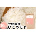 ふるさと納税 米 ひと�