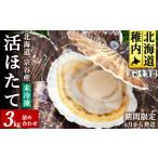 ふるさと納税 魚貝類 ホタテ 北海道 稚内市  先行受付 《冷蔵便でお届け 》北海道宗谷産活ホタテ3kg前後詰合せセット　泳ぐ帆立参上