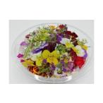 野菜類 エディブルフラワー 食用花
