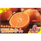 ふるさと納税 果物類 みかん 和歌山県 すさみ町  2026年12月発送予約分 家庭用 農家直送 こだわりの有田みかん 約8kg＋250g(傷み補償分) 有機質肥料100% サイ…
