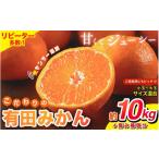 ふるさと納税 果物類 みかん 和歌山県 すさみ町  2026年12月発送予約分 家庭用 農家直送 こだわりの有田みかん 約10kg＋250g(傷み補償分) 有機質肥料100% サイ…