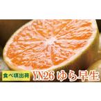 有田みかんサイズ混合 2S~2L 5kg+250g