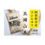 ふるさと納税 米 コシ