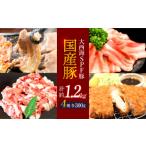 豚肉 バラ 訳あり 大 こま切れ入り 大西海SPF豚 豚 豚肉4種類 1.2kgセット
