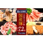 豚肉 バラ 訳あり 6回定期便 万能スライス 大西海SPF豚 豚 豚肉4種類 1.2kgセット