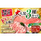 豚肉 バラ 3回定期便 長崎うずしおポーク 大 3種 セット