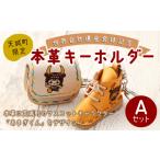 キャラクター 世界自然遺産登録記念 本革
