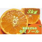 みかん 柑橘類 オレンジ 2027年4月上旬~5月下旬頃に