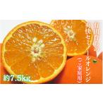 みかん 柑橘類 オレンジ 2027年4月上旬~5月下旬頃に