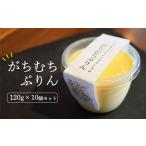 菓子 プリン ガチムチプリン120g×10個セット