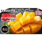 ショッピングふるさと納税 マンゴー ふるさと納税 マンゴー 鹿児島県 瀬戸内町  2026年発送 奄美大島産　完熟マンゴー 約1キロ（2〜3玉） 果物 マンゴー くだもの 食品 農家直送 フルーツ 飲料 果…