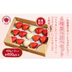 ふるさと納税 いちご 栃木県 さくら市 大満足4種食べ比べセット(とちおとめ、ミルキーベリー、とちあいか、スカイベリー)400g×2パック 800g|いちご イチゴ…
