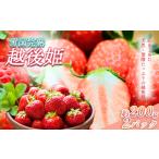 ふるさと納税 いちご 新潟県 上越市 いちご 新潟 雪国完熟越後姫 約200g×2P イチゴ 苺 フルーツ 果物 お取り寄せ ギフト 贈り物 上越