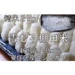 ふるさと納税 米 コシ