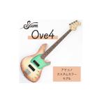 楽器 ギター ベースギター エレキベース Stem
