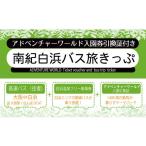入場券 優待券 南紀白浜バス旅きっぷ アドベンチャーワール…