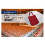 カバン トートバッグ 個人向け3万円 A4サイズトートバッグ…