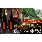 杜のワイン赤 2本セット 奥出雲葡萄園