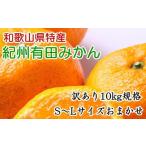 ふるさと納税 果物類 みかん 和歌山県 かつらぎ町  訳あり・ご家庭用 和歌山有田みかん 約10kg(S〜Lサイズいずれかお届け） 2026年11月中旬〜2027年1月中旬頃…