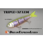 フィッシング ルアー フライ トリプルデラックスSW