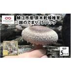 �ӂ邳�Ɣ[�� ��ؗ� ���̂� ���䌧 �I�]�s �I�]�s�Y ���؊����ő��u�z�̂Ă܂�v �i��E���T�C�Y�j3�p�b�N &amp;�i���T�C�Y�j2�p�b�N�@�v5�p�b�N B-05001