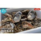 fu.... налог .. сырая устрица Hokkaido . другой блок внутренний потребление расширение .. предшествующий предварительный заказ Hokkaido saroma озеро производство устрица примерно 3.5kg.... морепродукты морепродукты местного производства . имеется . имеется сырая устрица сырой еда...