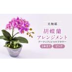 花 苗木 光触媒胡蝶蘭 アーティフィシャルフラワー 1本立て