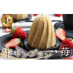 fu.... налог кекс * кастелла Montblanc Gifu префектура гора префектура город сырой Montblanc .4 штук 1 коробка примерно 520ggru тонн свободный No.486 | каштан клубника кекс конфеты Gifu префектура 