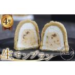 fu.... налог кекс * кастелла Montblanc Gifu префектура гора префектура город сырой Montblanc vanilla 4 штук 1 коробка gru тонн свободный No.487 | каштан marron кекс конфеты Gifu префектура 