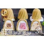 fu.... налог кекс * кастелла Montblanc Gifu префектура гора префектура город сырой Montblanc 3 вид 4 штук 1 коробка No.488 | каштан ..kli. клубника клубника vanilla Montblanc кекс...