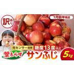 りんご 赤~いりんご 栄紅 約5kg
