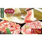 豚肉 ロース ブランド豚 3回定期便 訳あり