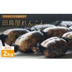 人参 大根 他根菜 年内発送 れんこん2kg