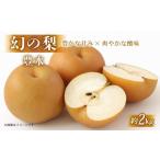 ふるさと納税 梨 滋賀県 彦根市 先行受付 数量限定 彦根梨 豊水 約 2kg 梨 2025年9月発送予定 豊水梨 和梨 なし フルーツ 果物 ギフト プレゼント 贈り物 贈…