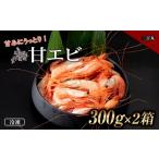 ふるさと納税 北海道 白老町 甘みにうっとり！冷凍甘エビ（300ｇ×2箱）