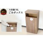 インテリア D66-01 組立式 ゴミボックス