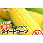 とうもろこし 朝採り スイートコーン 黄色 計10本