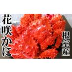 ふるさと納税 カニ 花咲ガニ 北海道 根室市 A-70054 北海道根室産 花咲かに500〜650g×2尾