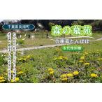 地域のお礼の品 森の墓苑 合葬墓たんぽぽ永代使用権