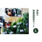 ふるさと納税 ねぎ・玉ねぎ 長野県 原村 2025年度先行予約 種to菜園 季節の無農薬野菜 Lセット