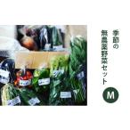 ふるさと納税 長野県 原村 2024年度先行予約【種to菜園】季節の無農薬野菜　Ｍセット