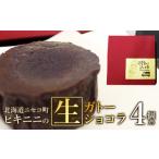 ケーキ カステラ ガトーショコラ ピキニニの生ガトーショコ…