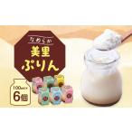 美里ぷりん 100ml×6個
